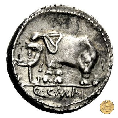 374/1 - denario Q. Caecilius Metellus Pius 81 BC (Nord Italia)