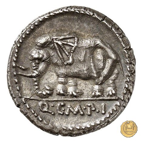 374/1 - denario Q. Caecilius Metellus Pius 81 BC (Nord Italia)