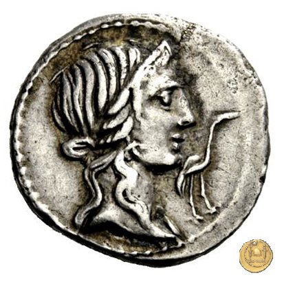 374/2 - denario Q. Caecilius Metellus Pius 81 BC (Nord Italia)