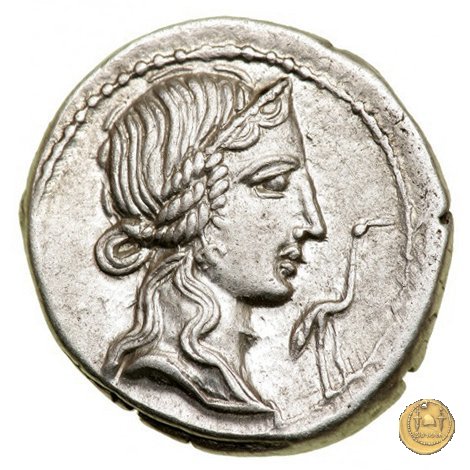 374/2 - denario Q. Caecilius Metellus Pius 81 BC (Nord Italia)
