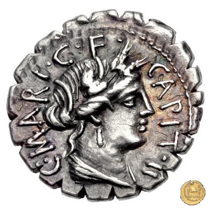 378/1 - denario C. Marius C.f. Capito 81 BC (Roma)