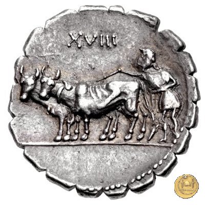378/1 - denario C. Marius C.f. Capito 81 BC (Roma)