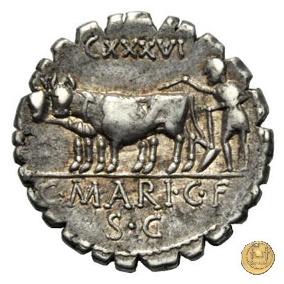 378/1 - denario C. Marius C.f. Capito 81 BC (Roma)