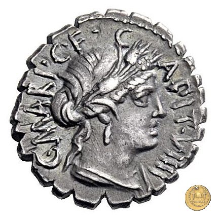 378/1 - denario C. Marius C.f. Capito 81 BC (Roma)