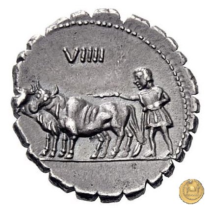 378/1 - denario C. Marius C.f. Capito 81 BC (Roma)