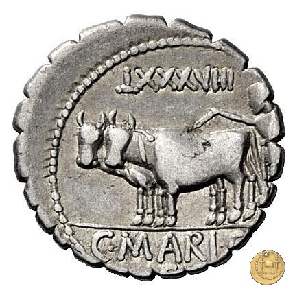 378/1 - denario C. Marius C.f. Capito 81 BC (Roma)