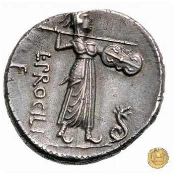 379/1 - denario L. Procilius 80 a.C. (Roma)