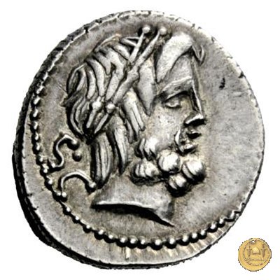 379/1 - denario L. Procilius 80 BC (Roma)