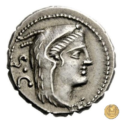 379/2 - denario L. Procilius 80 BC (Roma)