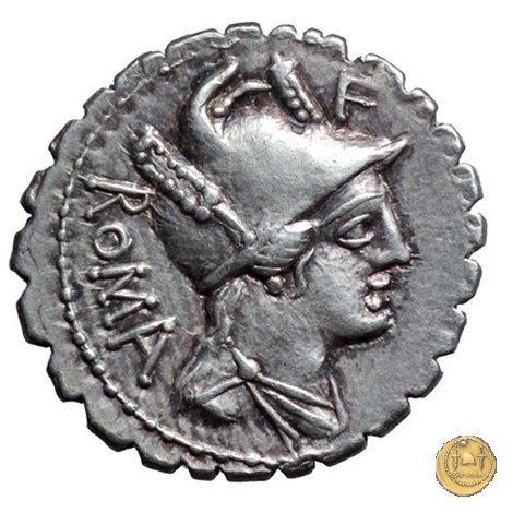 380/1 - denario C. Poblicius Q.f. 80 BC (Roma)