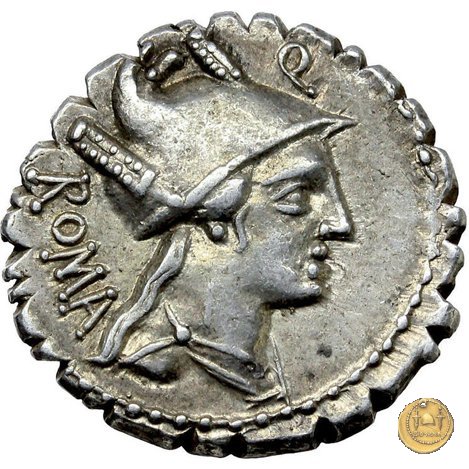 380/1 - denario C. Poblicius Q.f. 80 BC (Roma)