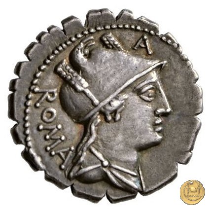 380/1 - denario C. Poblicius Q.f. 80 BC (Roma)