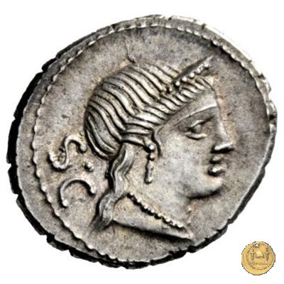 382/1 - denario C. Naevius Balbus 79 BC (Roma)