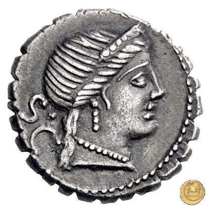 382/1 - denario C. Naevius Balbus 79 BC (Roma)