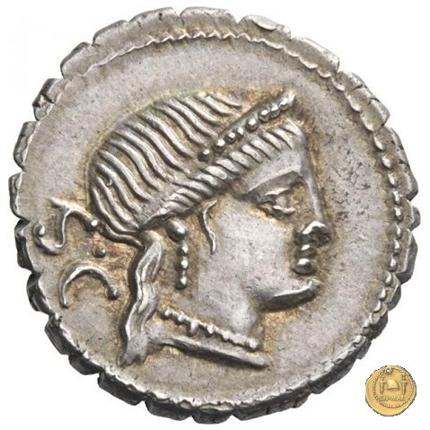 382/1 - denario C. Naevius Balbus 79 BC (Roma)