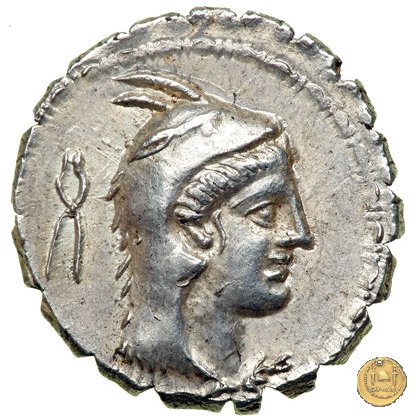 384/1 - denario L. Papius 79 BC (Roma)