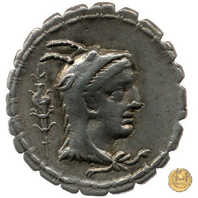 384/1 - denario L. Papius 79 BC (Roma)