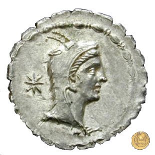 384/1 - denario L. Papius 79 BC (Roma)