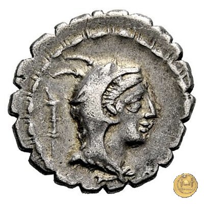 384/1 - denario L. Papius 79 BC (Roma)