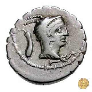 384/1 - denario L. Papius 79 BC (Roma)