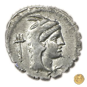 384/1 - denario L. Papius 79 BC (Roma)