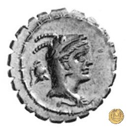 384/1 - denario L. Papius 79 BC (Roma)