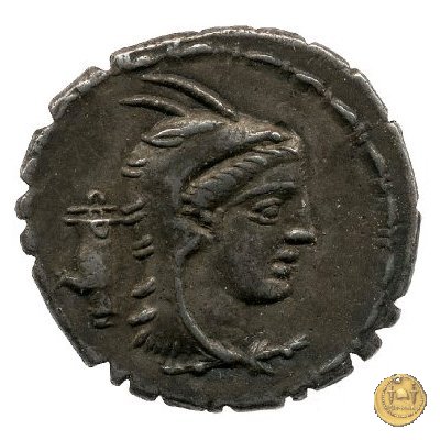 384/1 - denario L. Papius 79 BC (Roma)