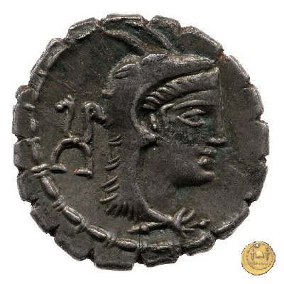 384/1 - denario L. Papius 79 BC (Roma)