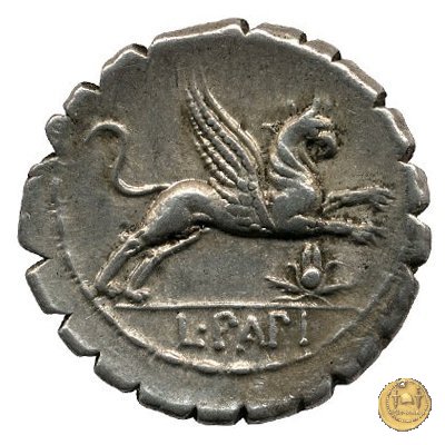 384/1 - denario L. Papius 79 BC (Roma)