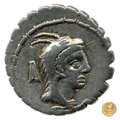 384/1 - denario L. Papius 79 BC (Roma)