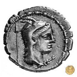 384/1 - denario L. Papius 79 BC (Roma)