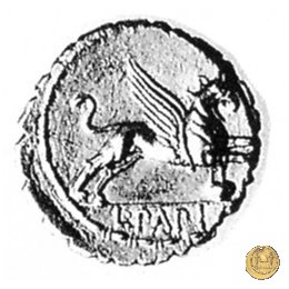 384/1 - denario L. Papius 79 BC (Roma)