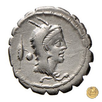 384/1 - denario L. Papius 79 BC (Roma)