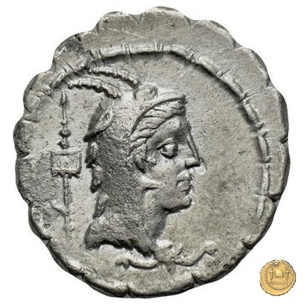 384/1 - denario L. Papius 79 BC (Roma)