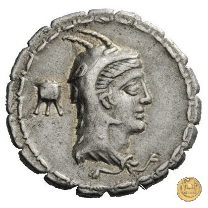 384/1 - denario L. Papius 79 BC (Roma)