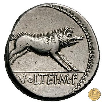 385/2 - denario M. Volteius M.f. 78 a.C. (Roma)