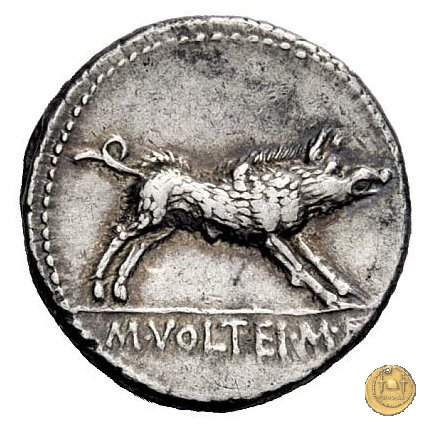 385/2 - denario M. Volteius M.f. 78 BC (Roma)