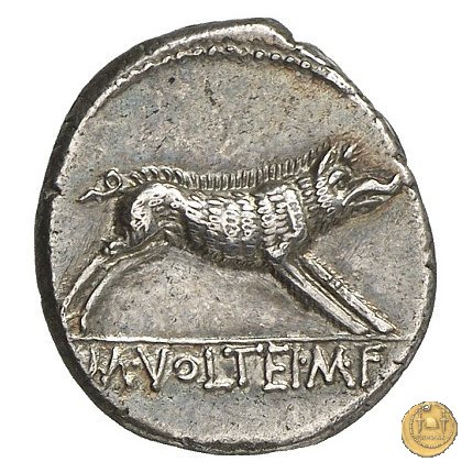 385/2 - denario M. Volteius M.f. 78 BC (Roma)