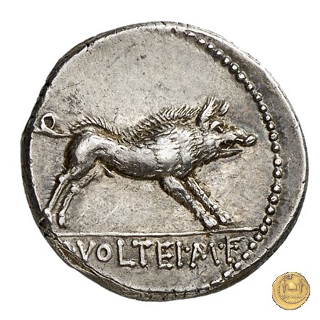 385/2 - denario M. Volteius M.f. 78 BC (Roma)