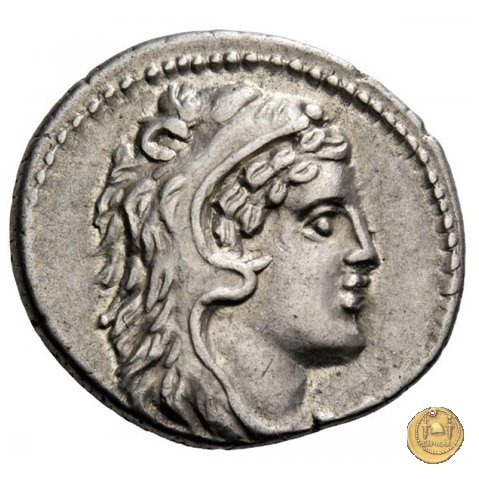 385/2 - denario M. Volteius M.f. 78 BC (Roma)