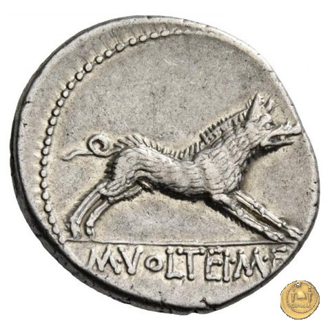 385/2 - denario M. Volteius M.f. 78 BC (Roma)