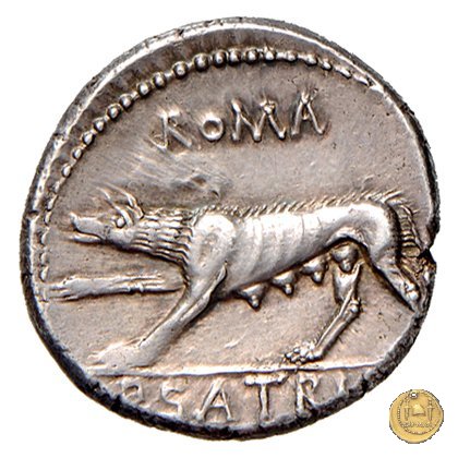 388/1 - denario P. Satrienus 77 BC (Roma)