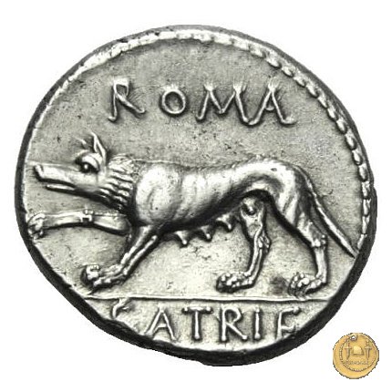 388/1 - denario P. Satrienus 77 BC (Roma)