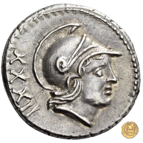 388/1 - denario P. Satrienus 77 a.C. (Roma)