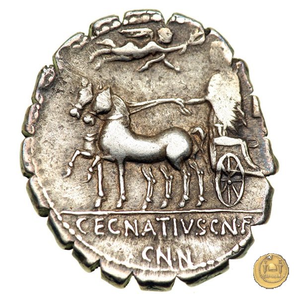 391/1 - denario Cn. Egnatius Cn.f. Cn.n. Maximus 75 BC (Roma)