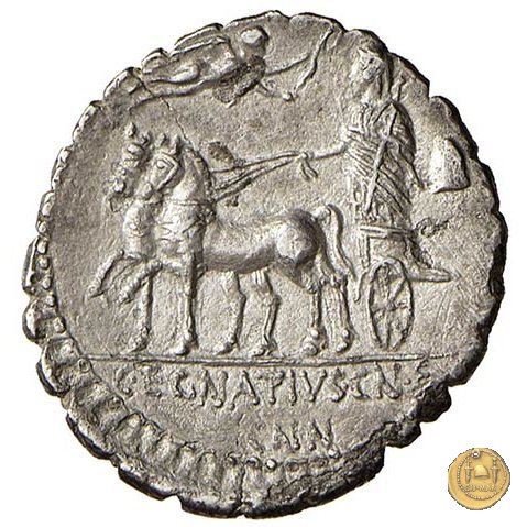 391/1 - denario Cn. Egnatius Cn.f. Cn.n. Maximus 75 BC (Roma)