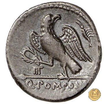 398/1 - denario Q. Pomponius Rufus 73 BC (Roma)