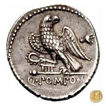 398/1 - denario Q. Pomponius Rufus 73 BC (Roma)