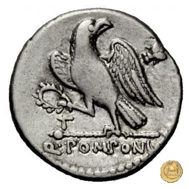 398/1 - denario Q. Pomponius Rufus 73 BC (Roma)