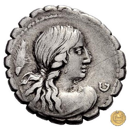 399/1 - denario Q. Crepereius M.f. Rocus 72 BC (Roma)